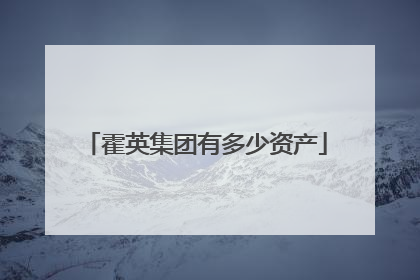霍英集团有多少资产