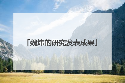 魏炜的研究发表成果