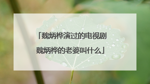 魏炳桦演过的电视剧 魏炳桦的老婆叫什么