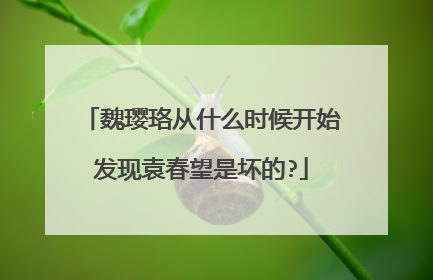 魏璎珞从什么时候开始发现袁春望是坏的?