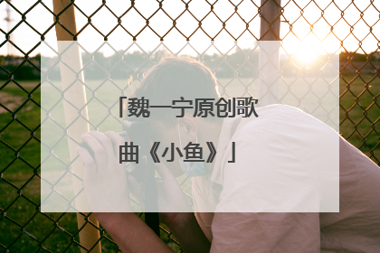 魏一宁原创歌曲《小鱼》