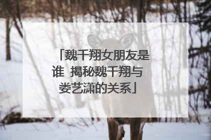 魏千翔女朋友是谁 揭秘魏千翔与娄艺潇的关系