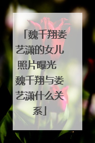 魏千翔娄艺潇的女儿照片曝光 魏千翔与娄艺潇什么关系