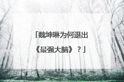 魏坤琳为何退出《最强大脑》?