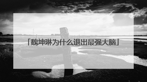 魏坤琳为什么退出最强大脑