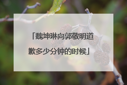 魏坤琳向郭敬明道歉多少分钟的时候