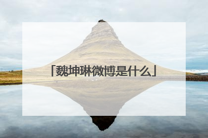 魏坤琳微博是什么