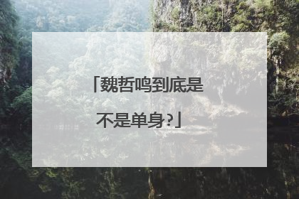 魏哲鸣到底是不是单身?