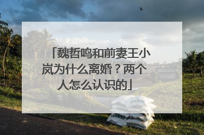 魏哲鸣和前妻王小岚为什么离婚?两个人怎么认识的