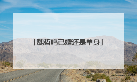 魏哲鸣已婚还是单身