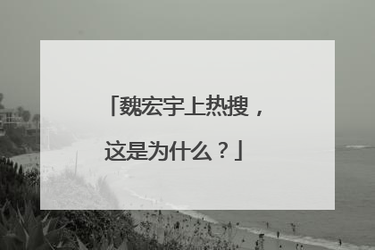 魏宏宇上热搜,这是为什么?