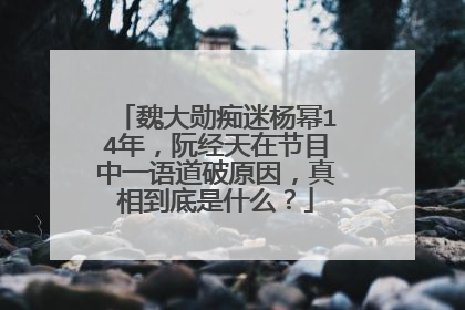 魏大勋痴迷杨幂14年，阮经天在节目中一语道破原因，真相到底是什么？