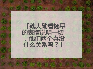 魏大勋看杨幂的表情说明一切，他们两个真没什么关系吗？