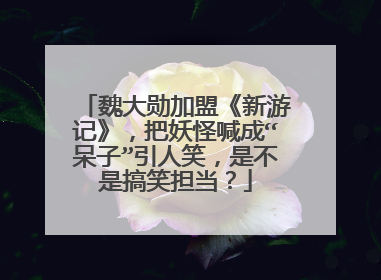 魏大勋加盟《新游记》,把妖怪喊成“呆子”引人笑,是不是搞笑担当?