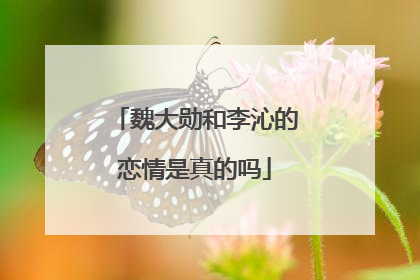 魏大勋和李沁的恋情是真的吗