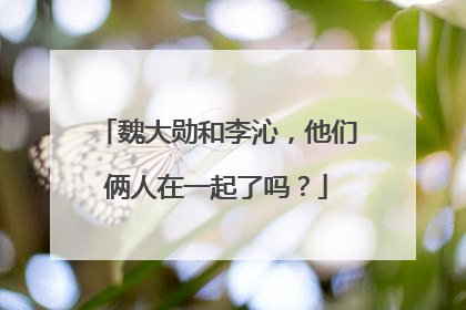 魏大勋和李沁，他们俩人在一起了吗？