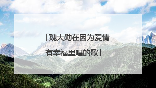 魏大勋在因为爱情有幸福里唱的歌