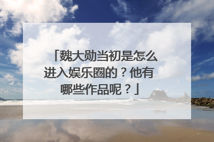 魏大勋当初是怎么进入娱乐圈的？他有哪些作品呢？