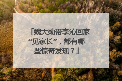 魏大勋带李沁回家“见家长”,都有哪些惊奇发现?