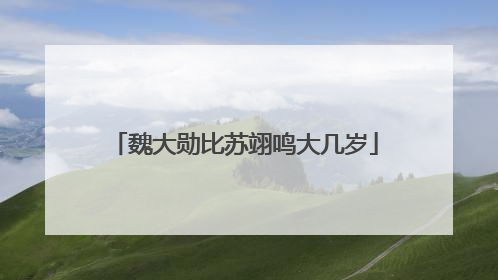 魏大勋比苏翊鸣大几岁