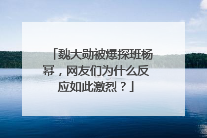 魏大勋被爆探班杨幂，网友们为什么反应如此激烈？
