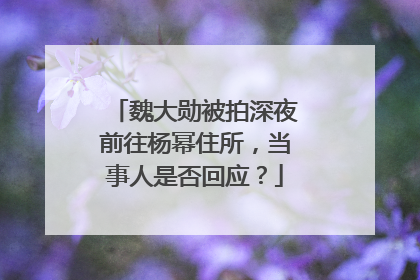 魏大勋被拍深夜前往杨幂住所，当事人是否回应？