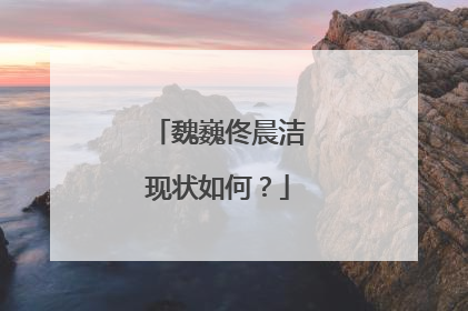 魏巍佟晨洁现状如何?