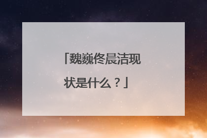 魏巍佟晨洁现状是什么？