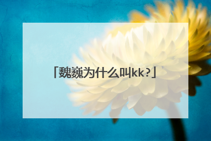 魏巍为什么叫kk?