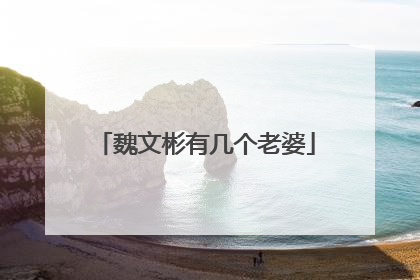 魏文彬有几个老婆