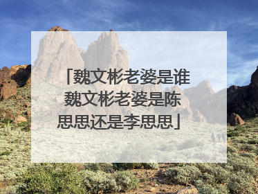 魏文彬老婆是谁 魏文彬老婆是陈思思还是李思思