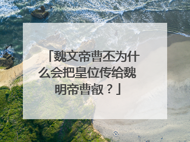 魏文帝曹丕为什么会把皇位传给魏明帝曹叡?