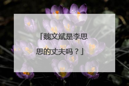 魏文斌是李思思的丈夫吗?