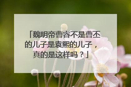 魏明帝曹睿不是曹丕的儿子是袁熙的儿子,真的是这样吗?