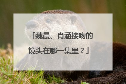 魏晨、肖涵接吻的镜头在哪一集里？