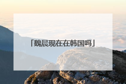 魏晨现在在韩国吗