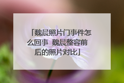 魏晨照片门事件怎么回事 魏晨整容前后的照片对比