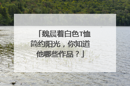 魏晨着白色T恤简约阳光，你知道他哪些作品？