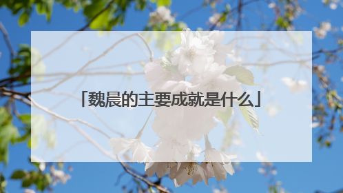 魏晨的主要成就是什么