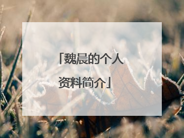 魏晨的个人资料简介