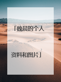 魏晨的个人资料和图片