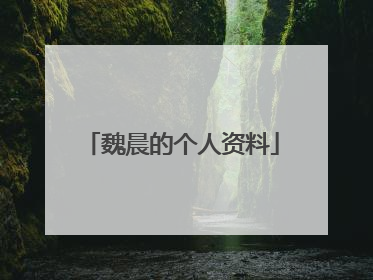 魏晨的个人资料