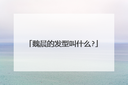 魏晨的发型叫什么?