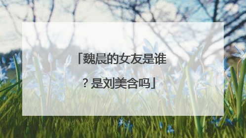 魏晨的女友是谁？是刘美含吗
