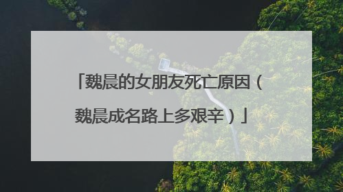 魏晨的女朋友死亡原因（魏晨成名路上多艰辛）