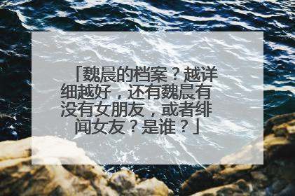 魏晨的档案？越详细越好，还有魏晨有没有女朋友，或者绯闻女友？是谁？