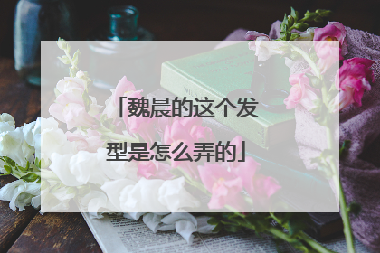 魏晨的这个发型是怎么弄的