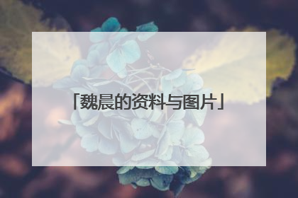 魏晨的资料与图片