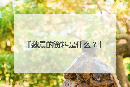 魏晨的资料是什么？