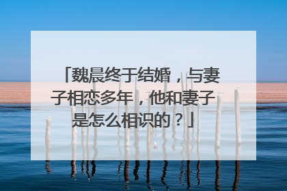 魏晨终于结婚,与妻子相恋多年,他和妻子是怎么相识的?